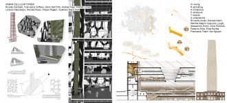 D3_ARCH_FOLLI