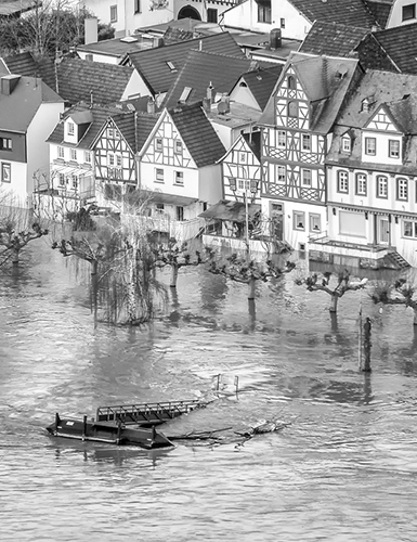 Planning for Environmental Risks Management